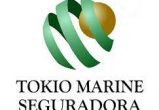 DECLARAÇÃO DE APÓLICE DE SEGUROS DE CARGAS